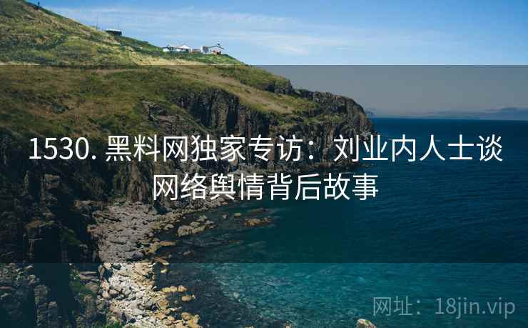 1530. 黑料网独家专访：刘业内人士谈网络舆情背后故事